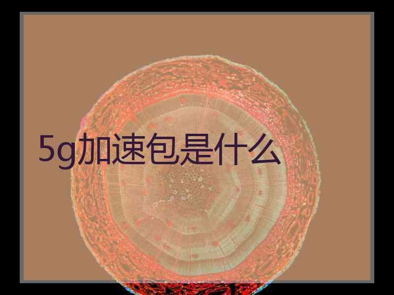 5g加速包是什么