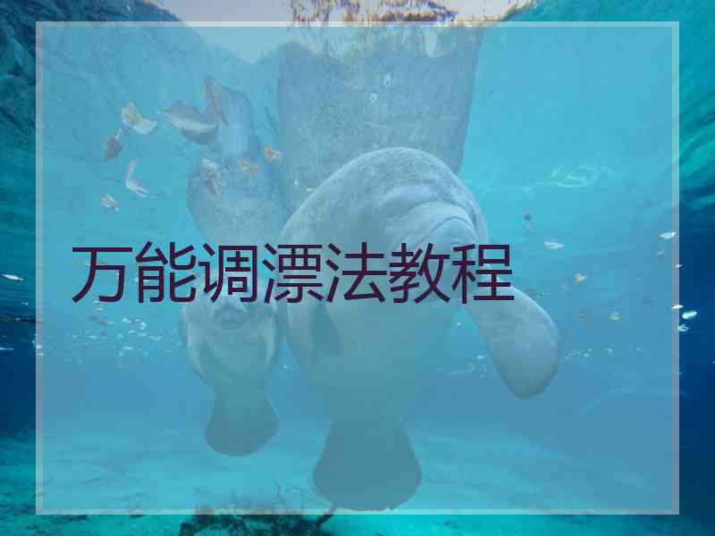 万能调漂法教程