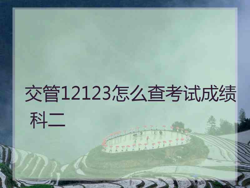 交管12123怎么查考试成绩 科二