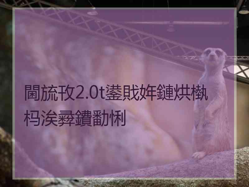 閫旈攼2.0t鍙戝姩鏈烘槸杩涘彛鐨勫悧