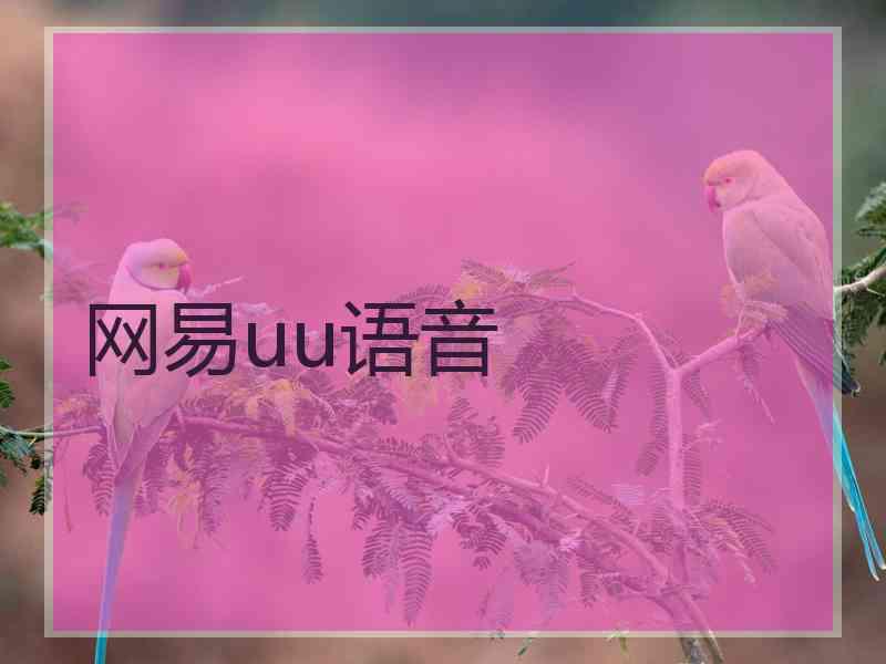 网易uu语音