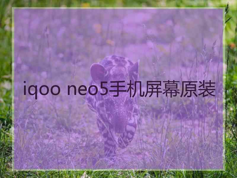 iqoo neo5手机屏幕原装