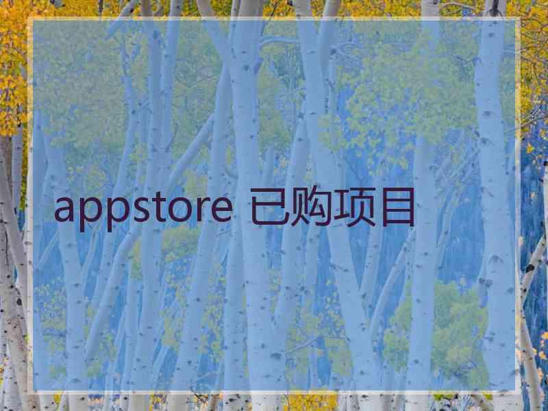 appstore 已购项目