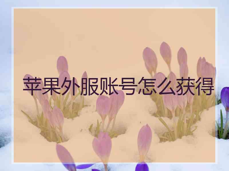 苹果外服账号怎么获得