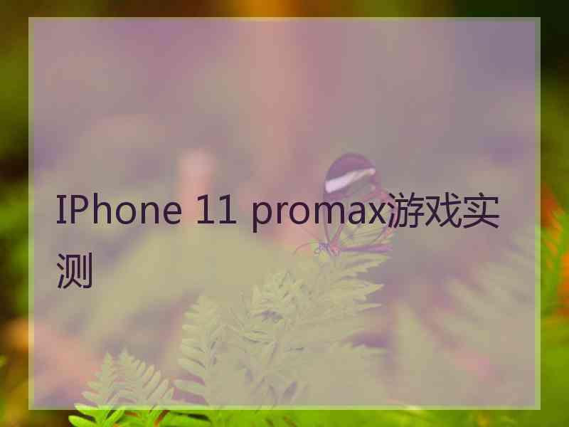 IPhone 11 promax游戏实测