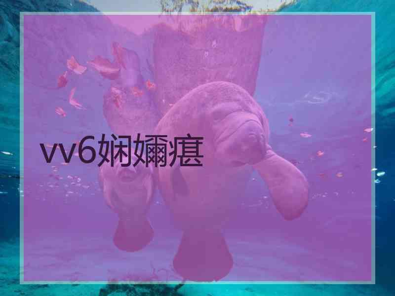 vv6娴嬭瘎