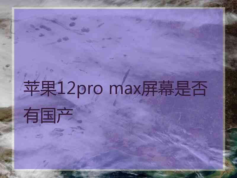 苹果12pro max屏幕是否有国产