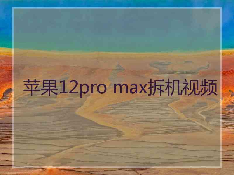 苹果12pro max拆机视频