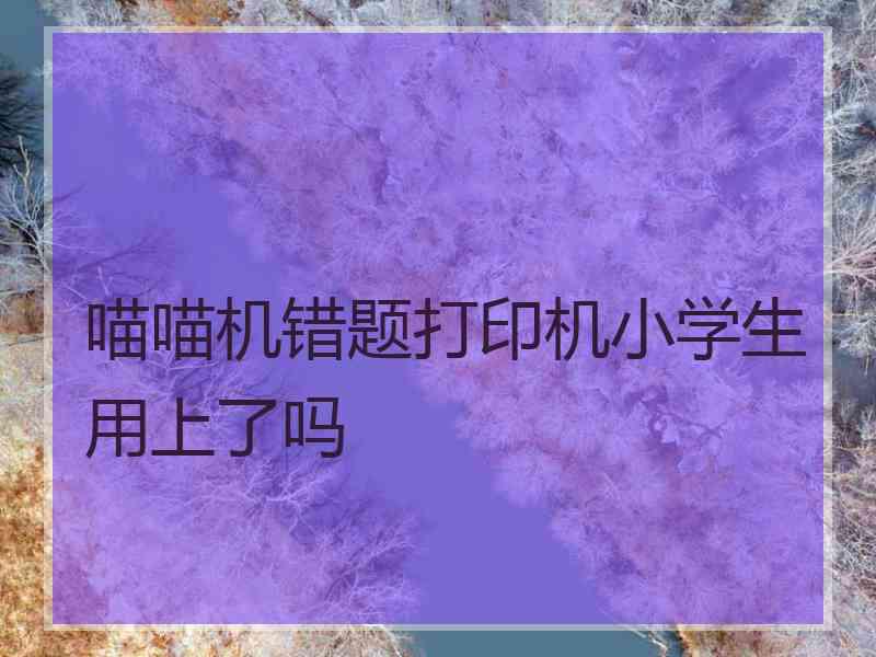 喵喵机错题打印机小学生用上了吗