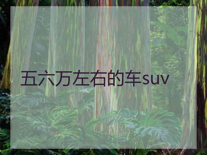 五六万左右的车suv