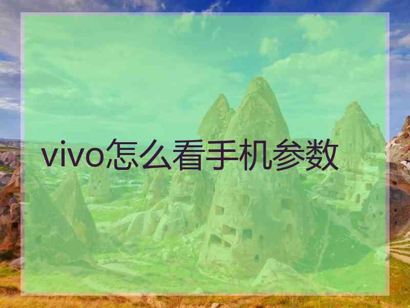 vivo怎么看手机参数