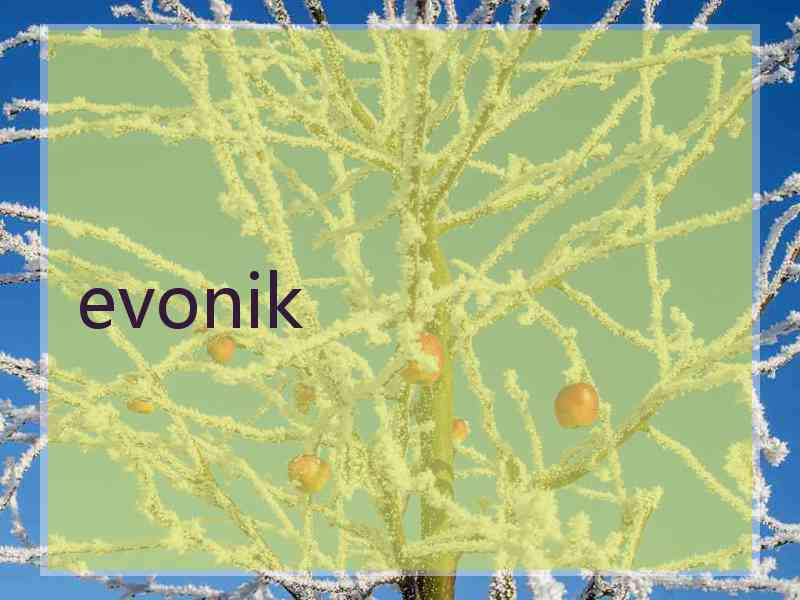 evonik