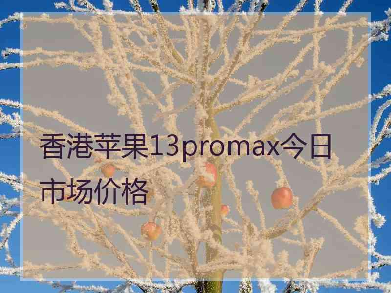 香港苹果13promax今日市场价格