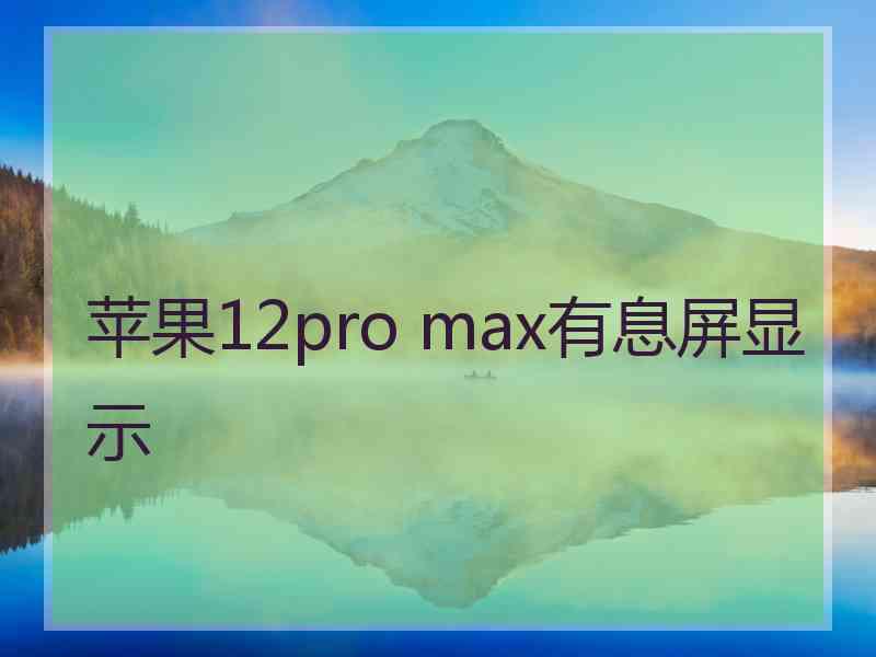 苹果12pro max有息屏显示