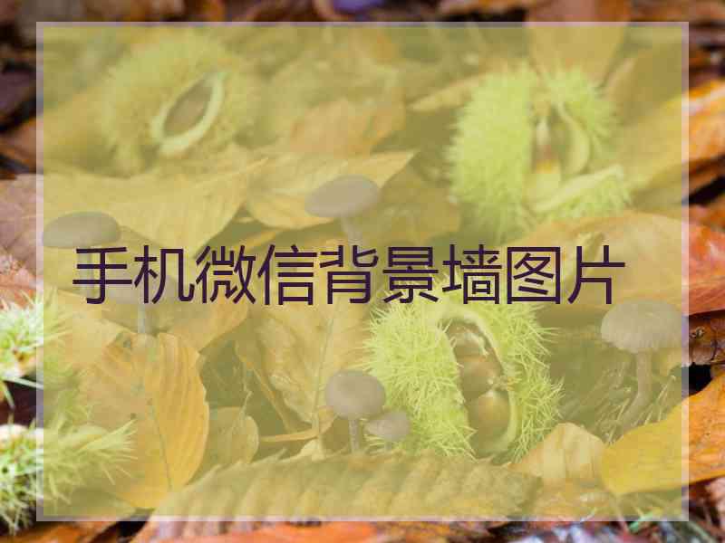 手机微信背景墙图片