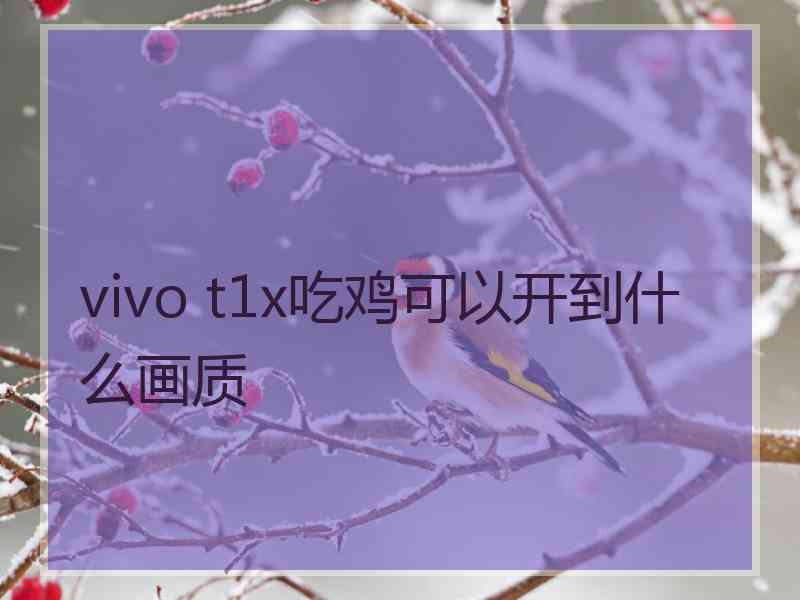 vivo t1x吃鸡可以开到什么画质