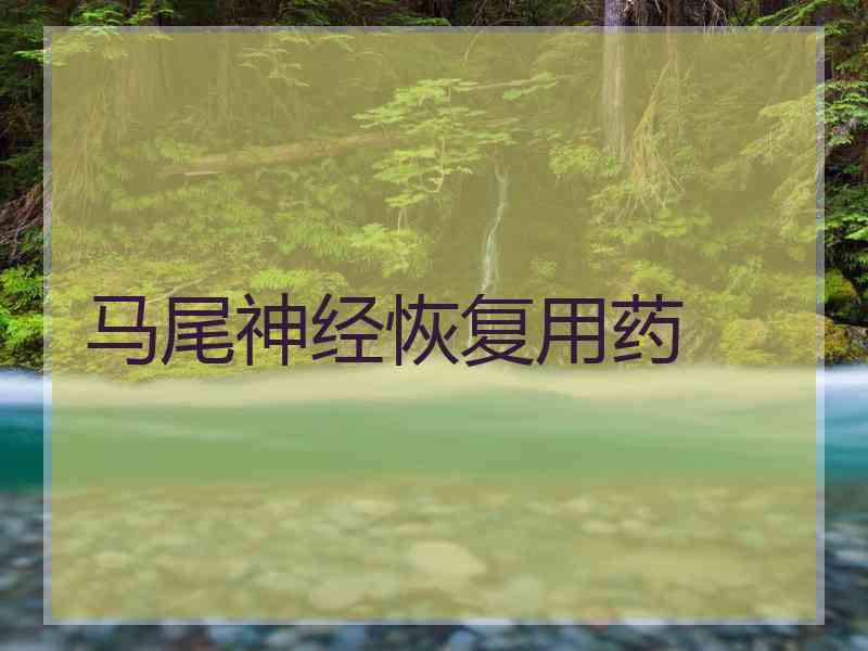 马尾神经恢复用药