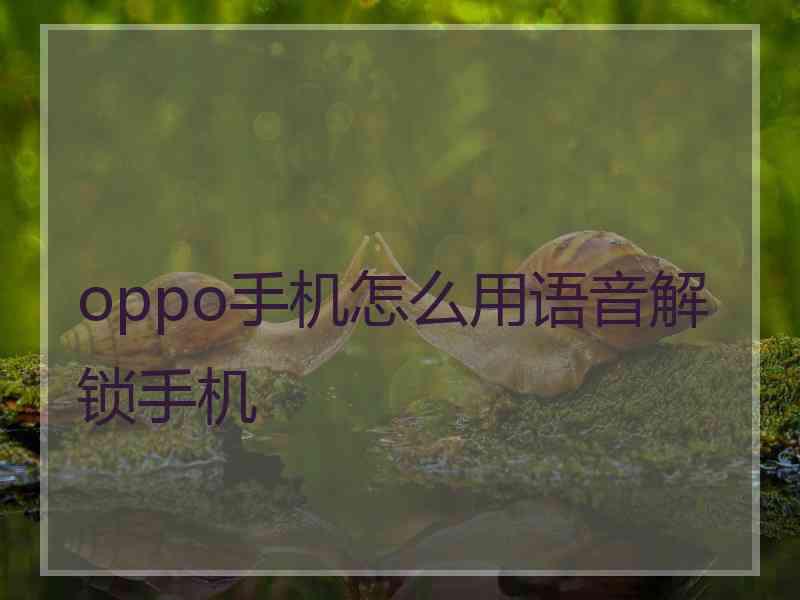 oppo手机怎么用语音解锁手机