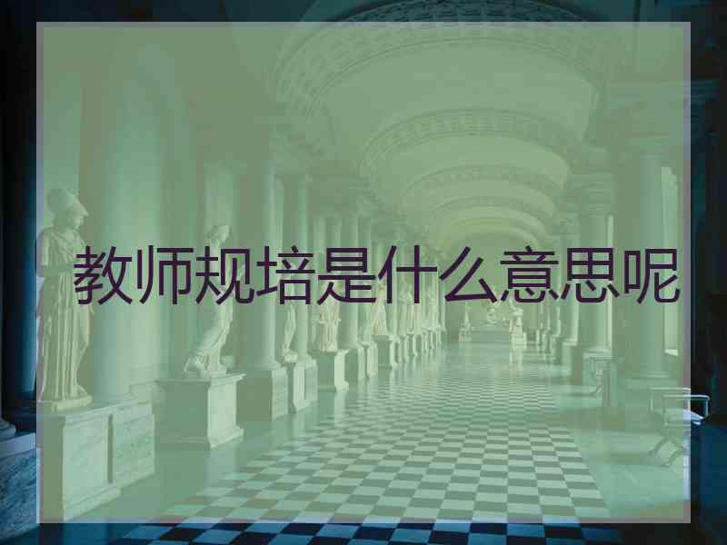 教师规培是什么意思呢