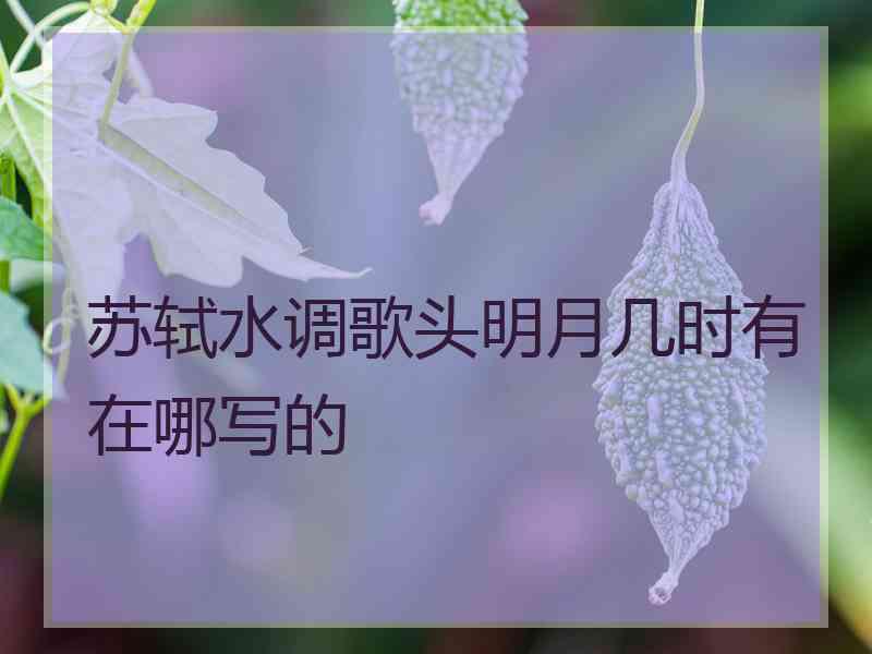 苏轼水调歌头明月几时有在哪写的