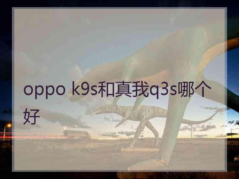 oppo k9s和真我q3s哪个好