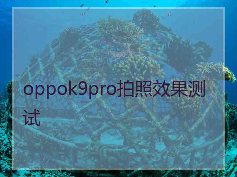 oppok9pro拍照效果测试