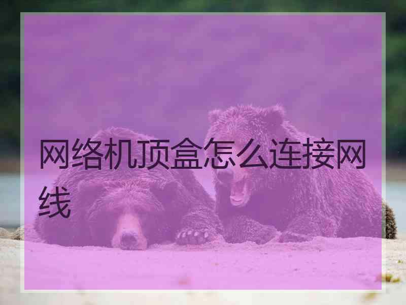 网络机顶盒怎么连接网线