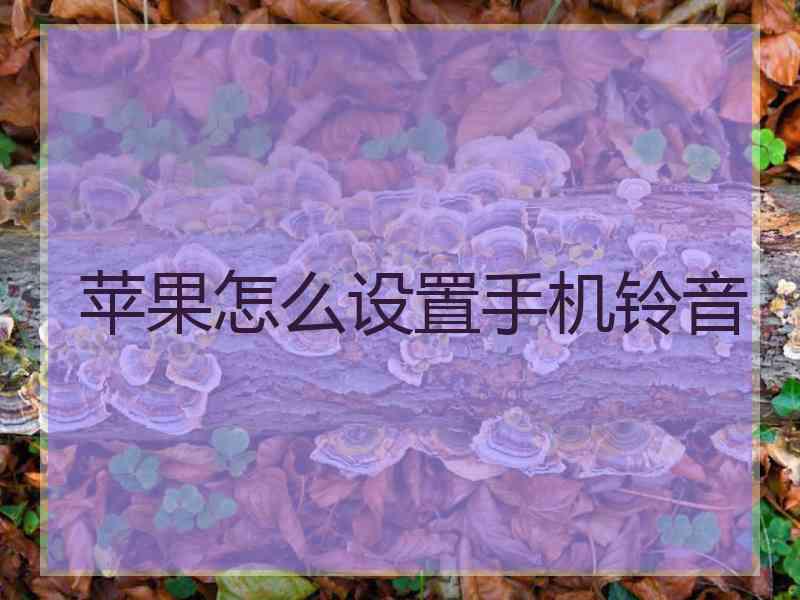 苹果怎么设置手机铃音