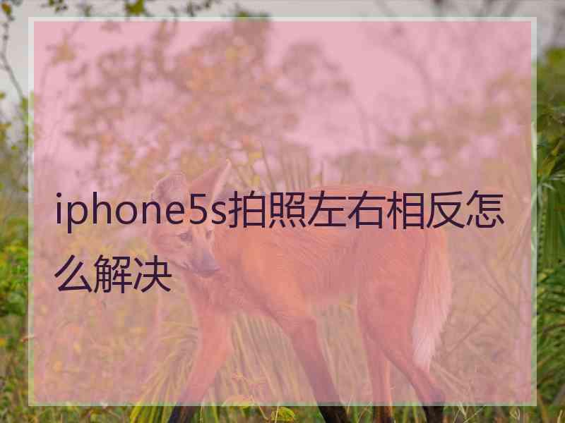 iphone5s拍照左右相反怎么解决