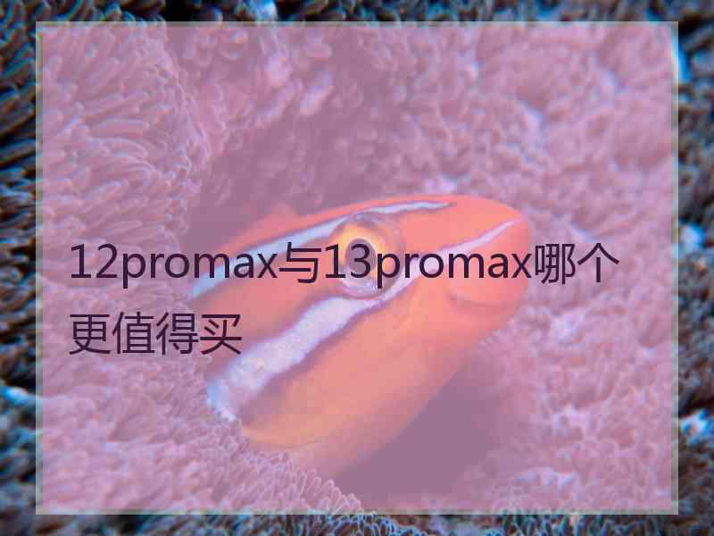 12promax与13promax哪个更值得买