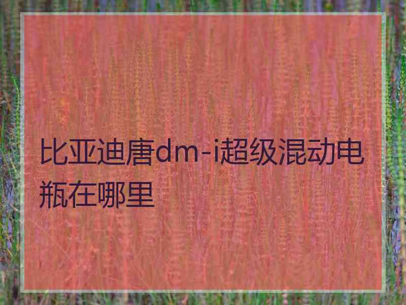 比亚迪唐dm-i超级混动电瓶在哪里