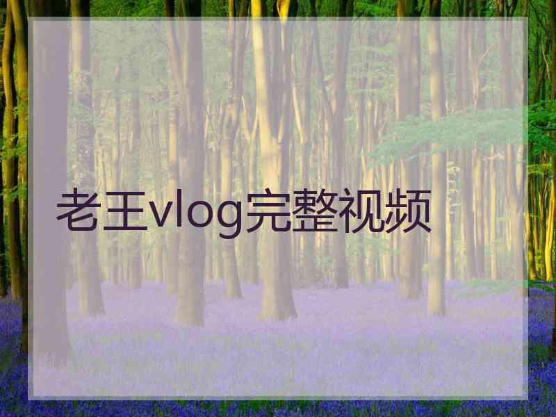 老王vlog完整视频