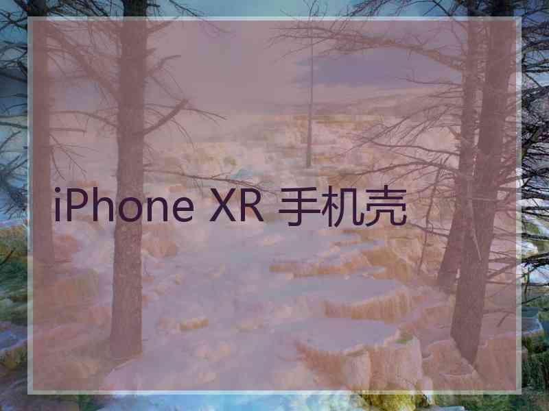 iPhone XR 手机壳