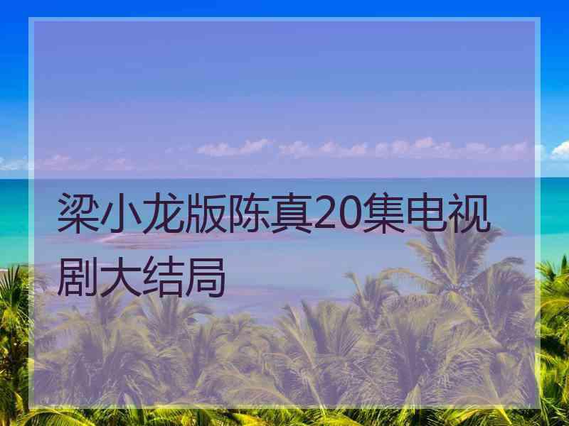 梁小龙版陈真20集电视剧大结局