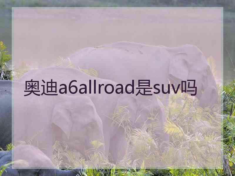 奥迪a6allroad是suv吗