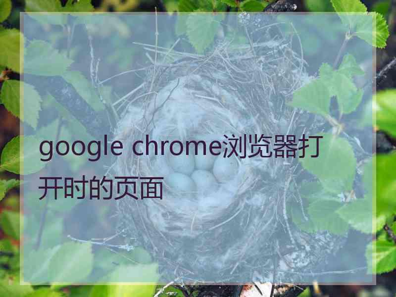 google chrome浏览器打开时的页面