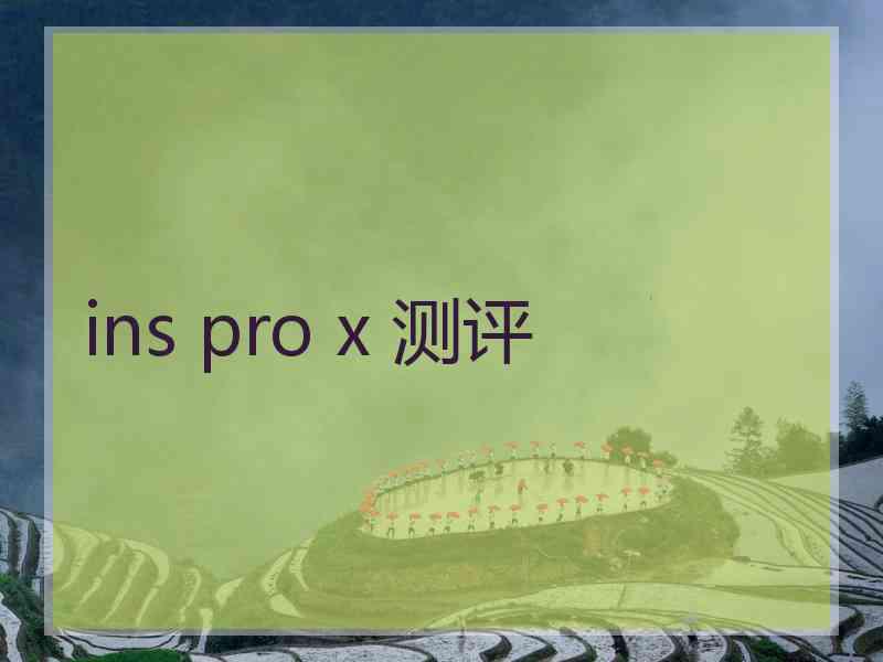 ins pro x 测评