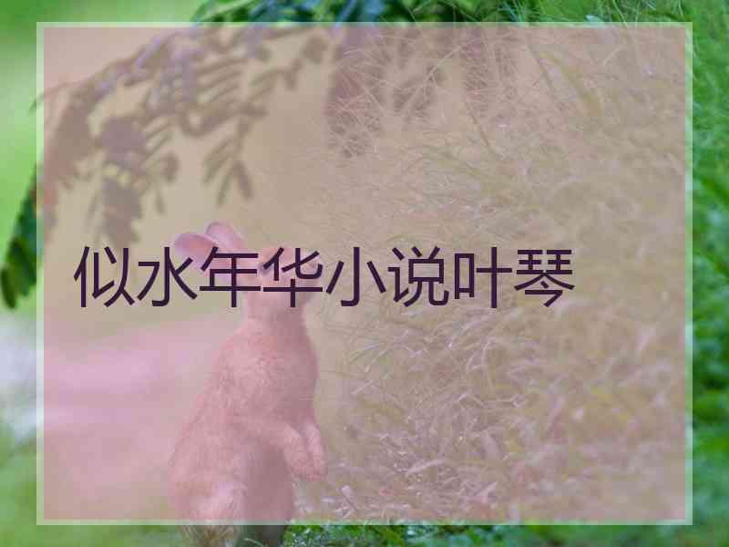 似水年华小说叶琴