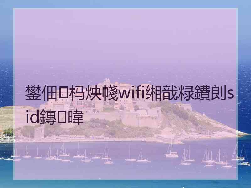 鐢佃杩炴帴wifi缃戠粶鐨剆sid鏄暐