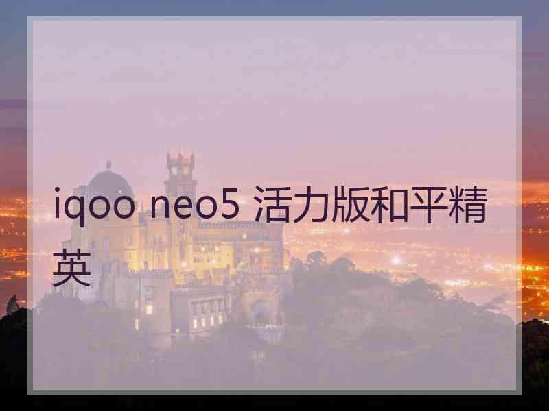 iqoo neo5 活力版和平精英