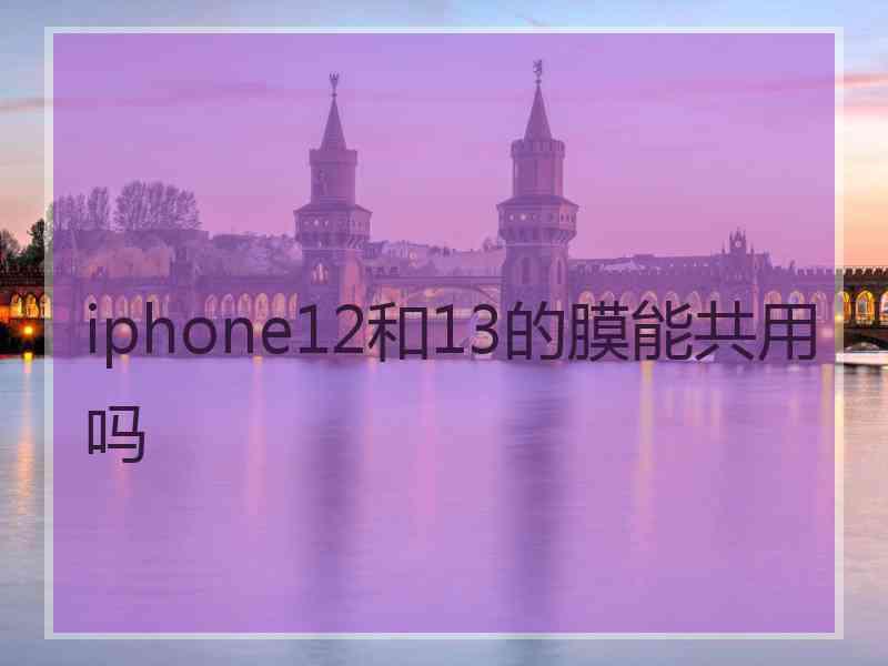 iphone12和13的膜能共用吗