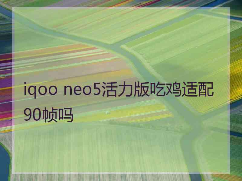 iqoo neo5活力版吃鸡适配90帧吗