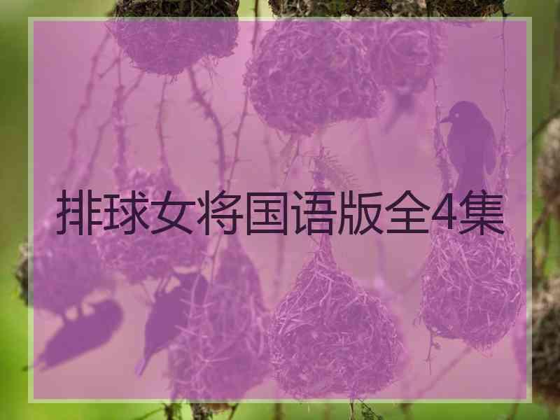 排球女将国语版全4集