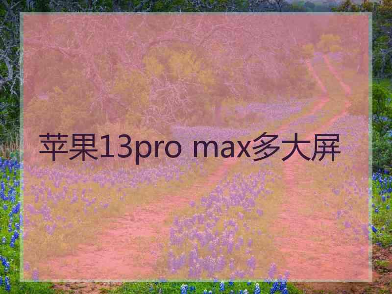 苹果13pro max多大屏