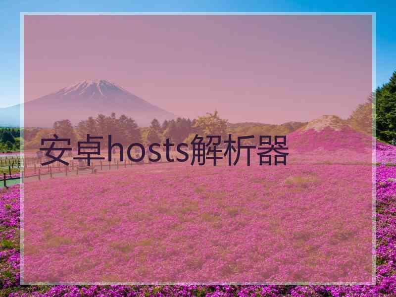 安卓hosts解析器