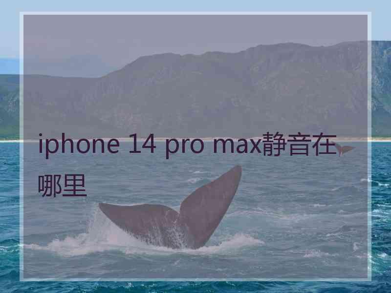 iphone 14 pro max静音在哪里