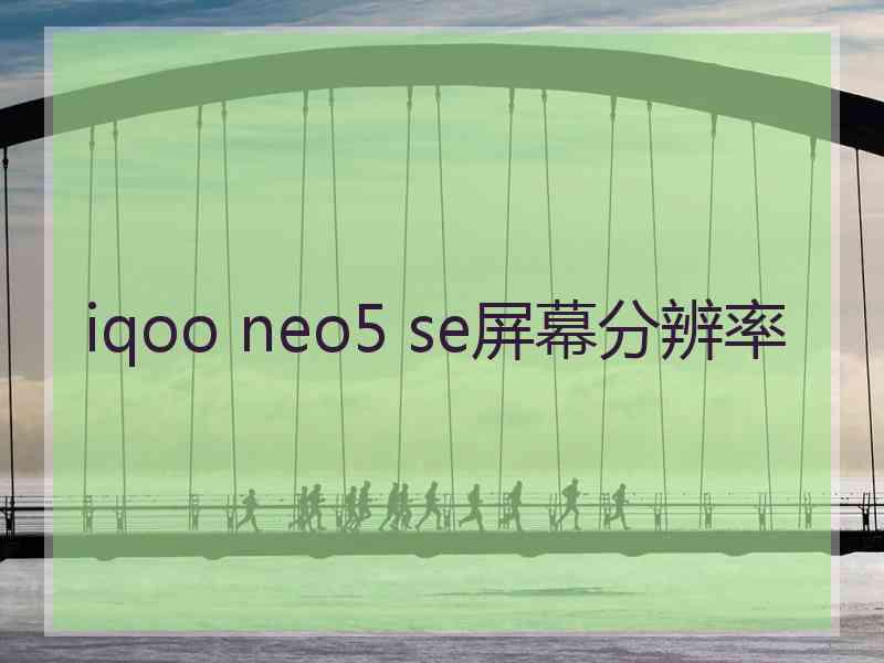 iqoo neo5 se屏幕分辨率