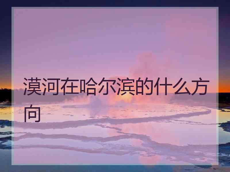 漠河在哈尔滨的什么方向