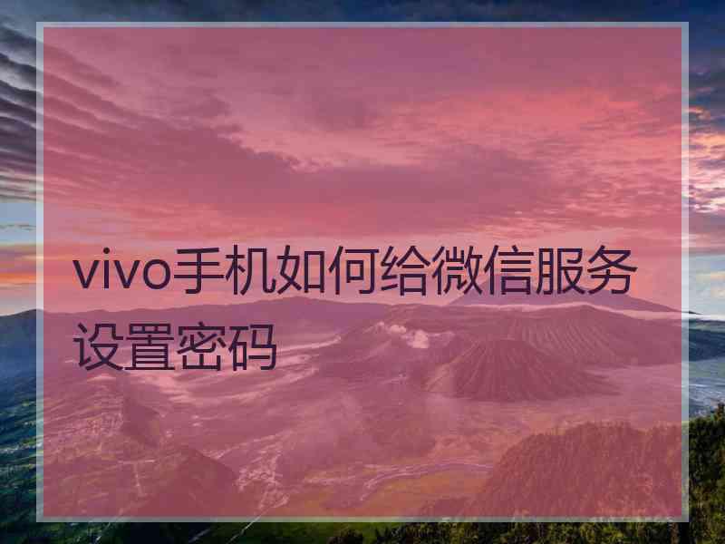 vivo手机如何给微信服务设置密码