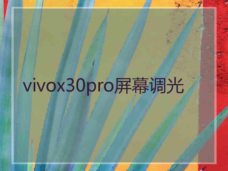 vivox30pro屏幕调光